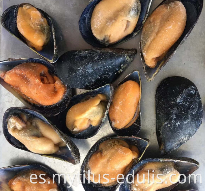 mejillones de media concha congelados venta caliente de sabor natural